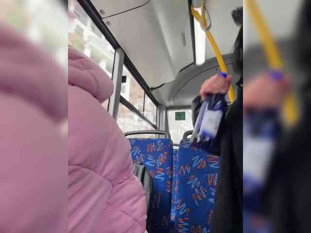 VibroMashulkaDashulka