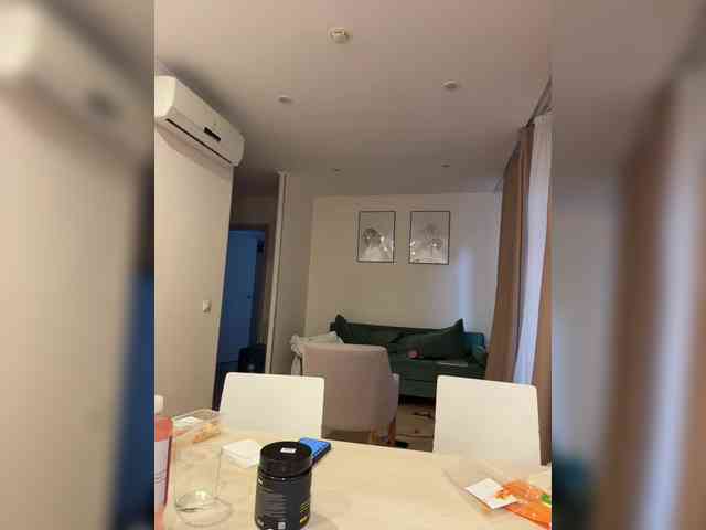 VibroMashulkaDashulka