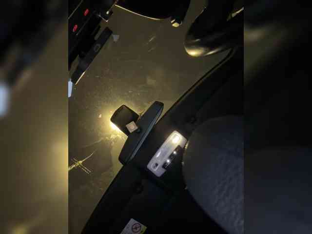 VibroMashulkaDashulka