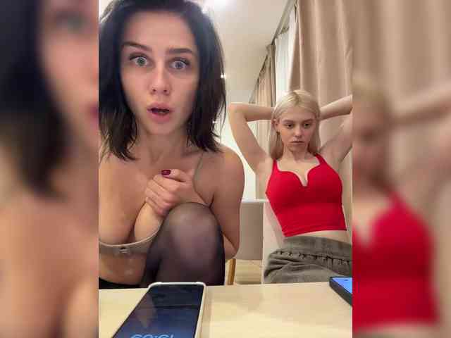 VibroMashulkaDashulka