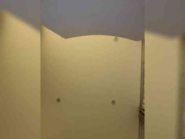 VibroMashulkaDashulka