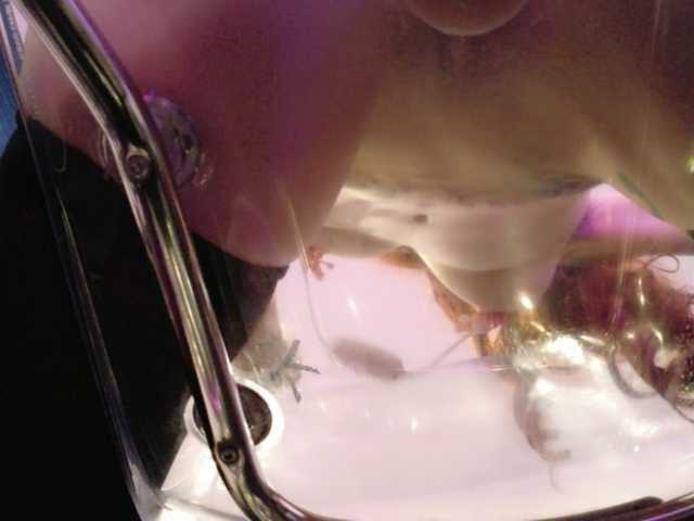 Midnightrose11 webcam