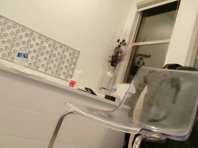 Midnightrose11's BongaCams show and profile