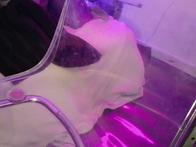 Midnightrose11's BongaCams show and profile