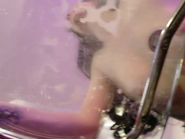 Midnightrose11 from BongaCams