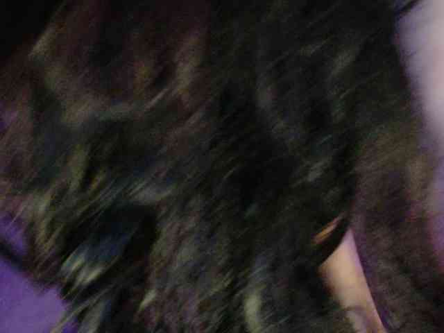 cam adult Midnightrose11