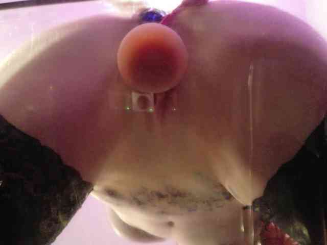 Midnightrose11 Midnightrose11