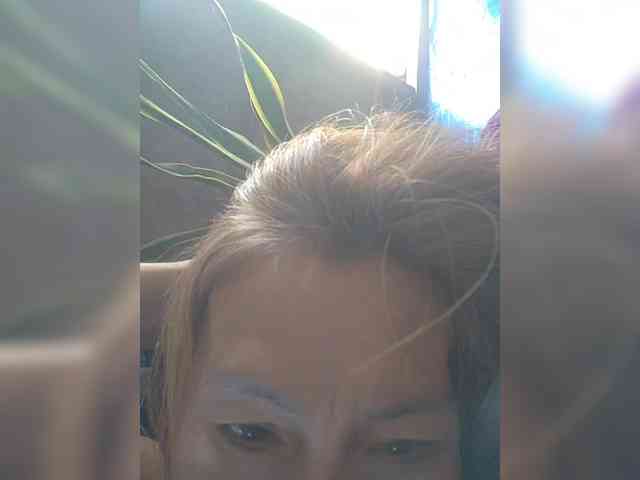 EllaStar