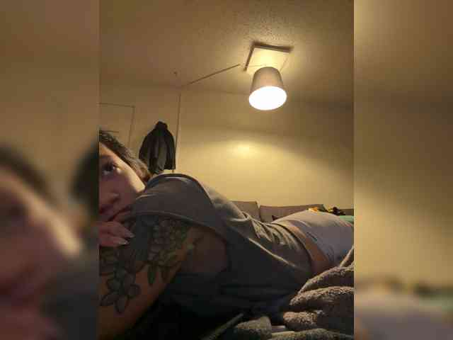 Babema webcam