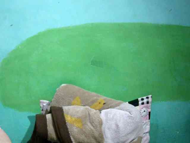 Ariah1 webcam
