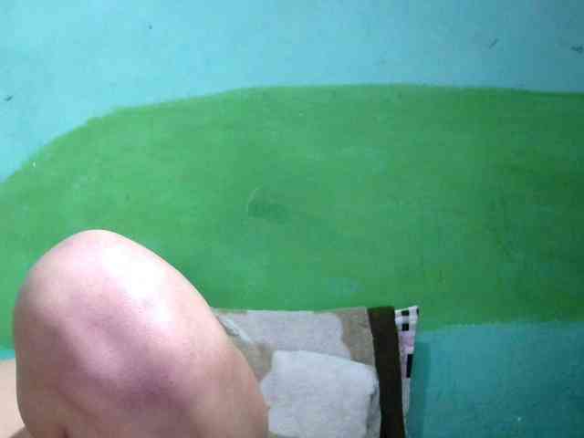 Ariah1 webcam