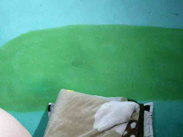 Ariah1 webcam