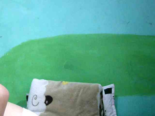 Ariah1 webcam