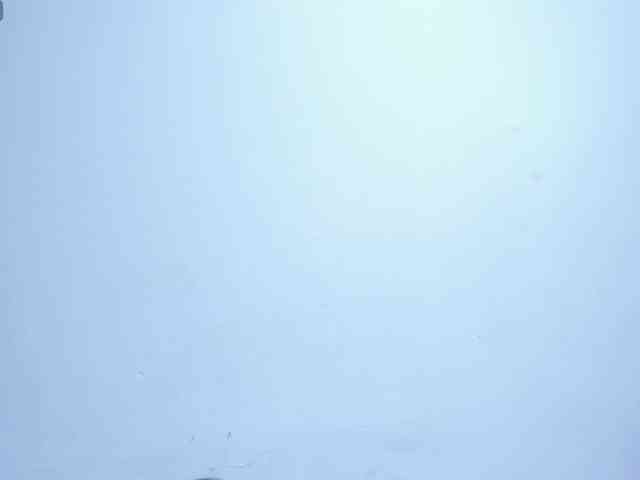 Ashley-7777 webcam
