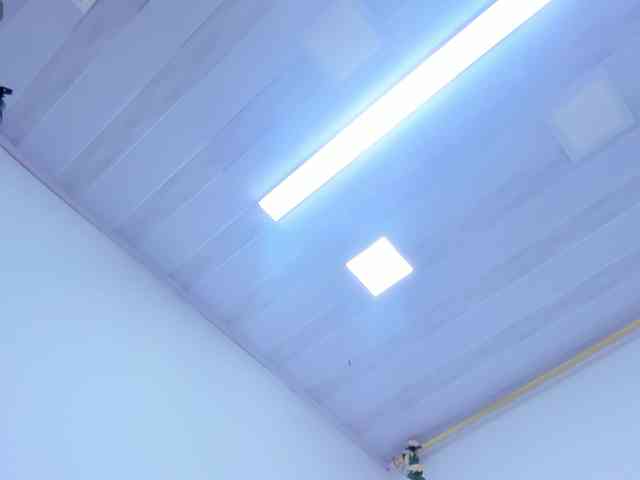 Ashley-7777 webcam