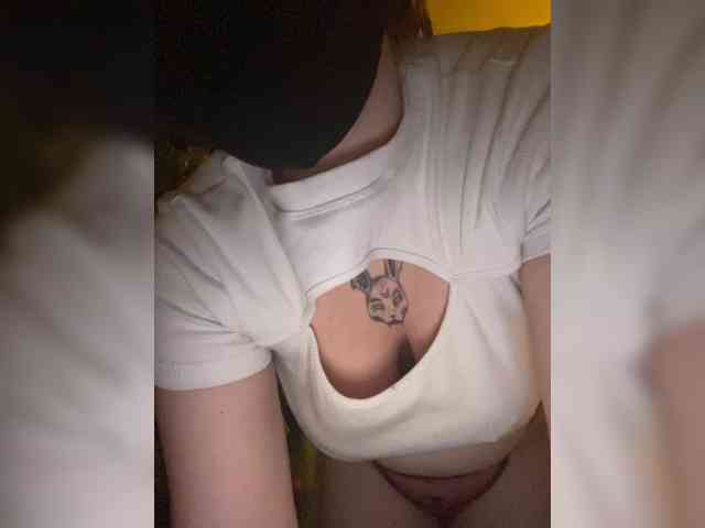 kittykoshechkkaa kittykoshechkkaa