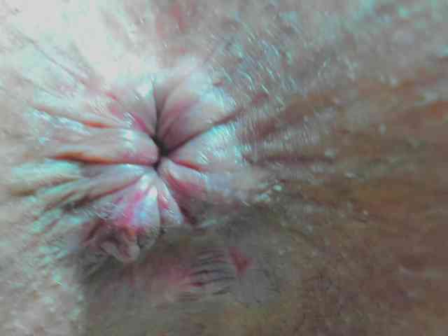 rosebbw69 webcam