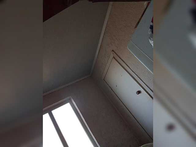 Preview of tpax-mapuhy