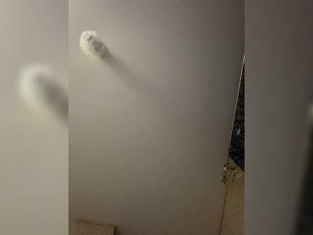 HelgaLeo — Freechat on BongaCams