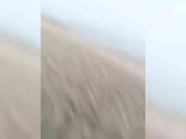cam livesex HelgaLeo