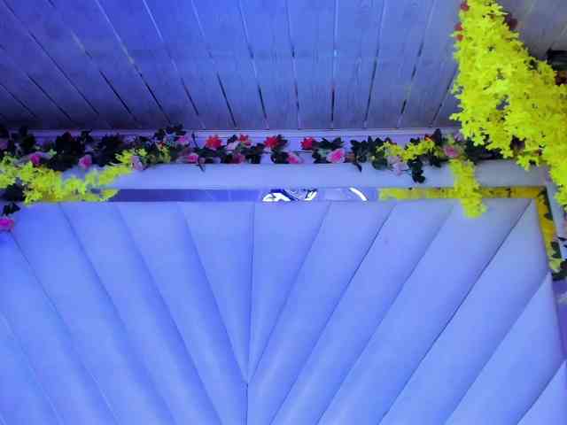 LunaBennett webcam