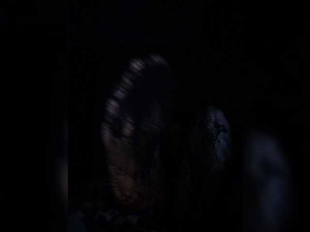 Offline Lily6661 on BongaCams