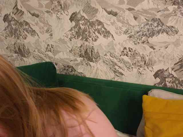 DonnaSmith DonnaSmith