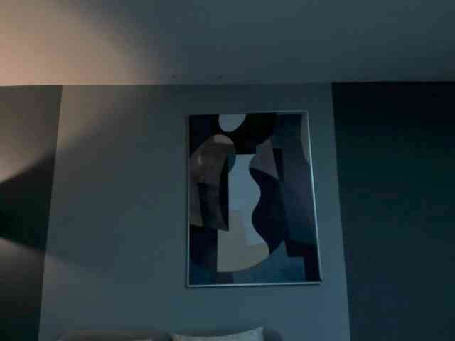 AllisonRogers webcam