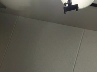 Adelaideskyy Porn Show