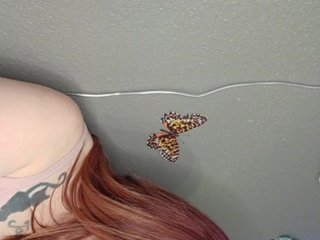 Adelaideskyy Porn Show