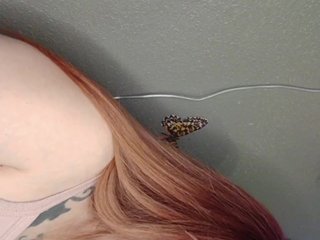 Adelaideskyy Porn Show