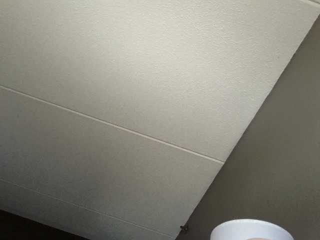 Adelaideskyy's BongaCams show and profile