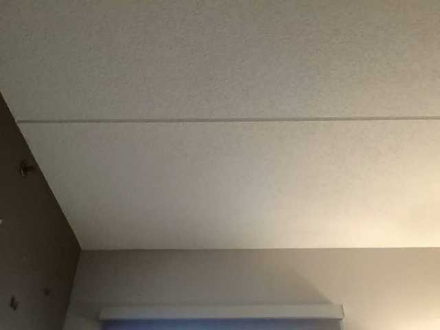 Adelaideskyy's BongaCams show and profile