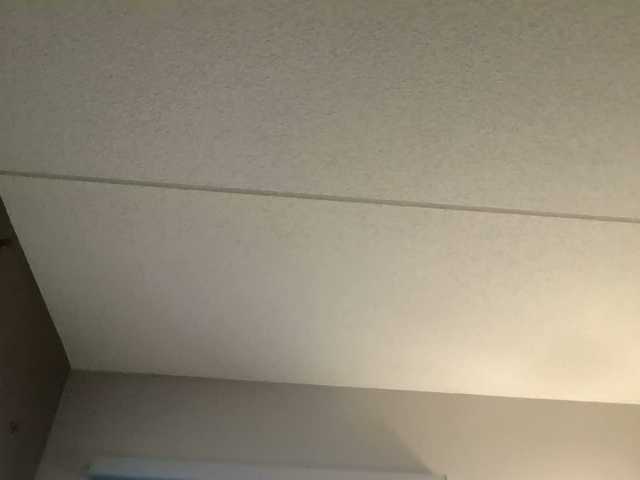 Adelaideskyy live cam profile