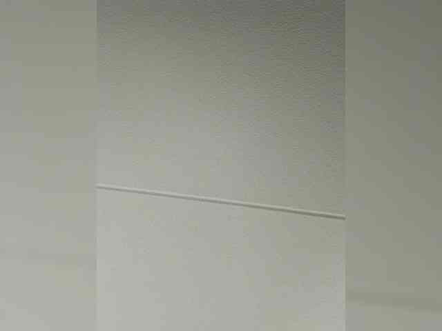 Adelaideskyy webcam