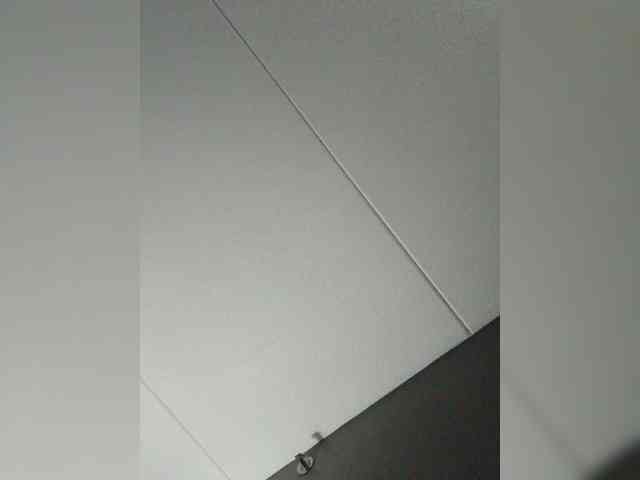 Adelaideskyy webcam