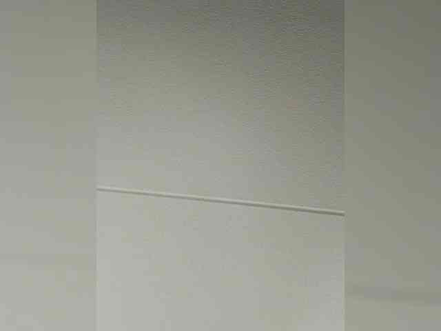 Adelaideskyy webcam