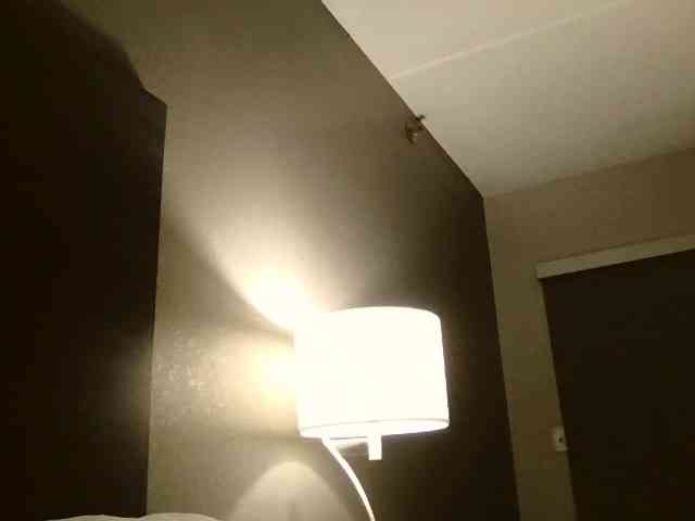 Adelaideskyy webcam