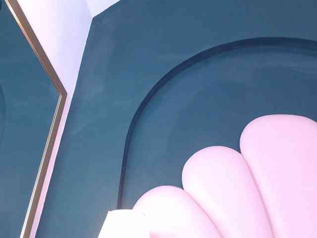 AliceLaw webcam
