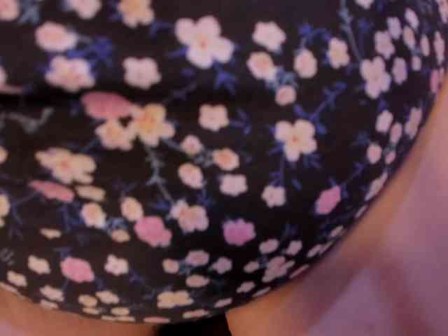 Amberbunny webcam