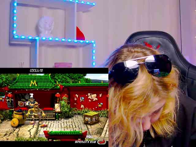 Nyan-Cat webcam