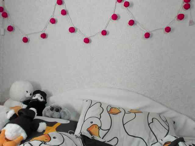 Nyan-Cat webcam