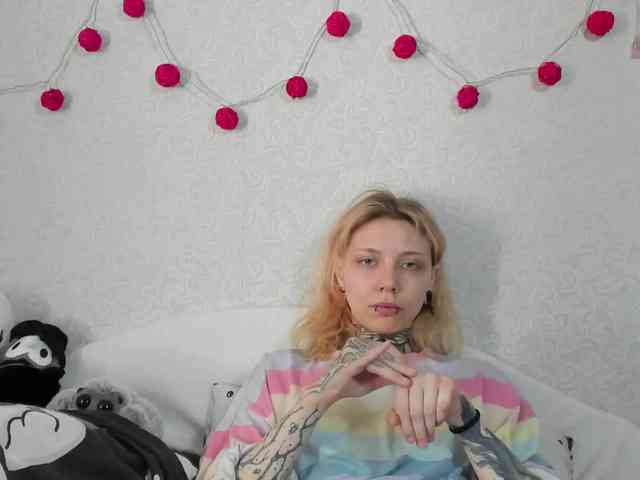 Nyan-Cat webcam