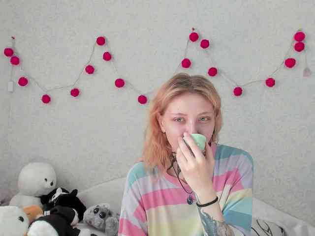 Nyan-Cat webcam