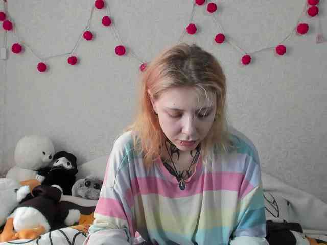 Nyan-Cat webcam