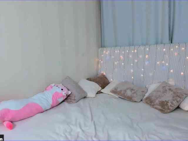 Nyan-Cat webcam