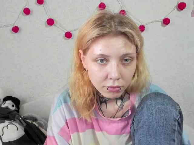 Nyan-Cat webcam