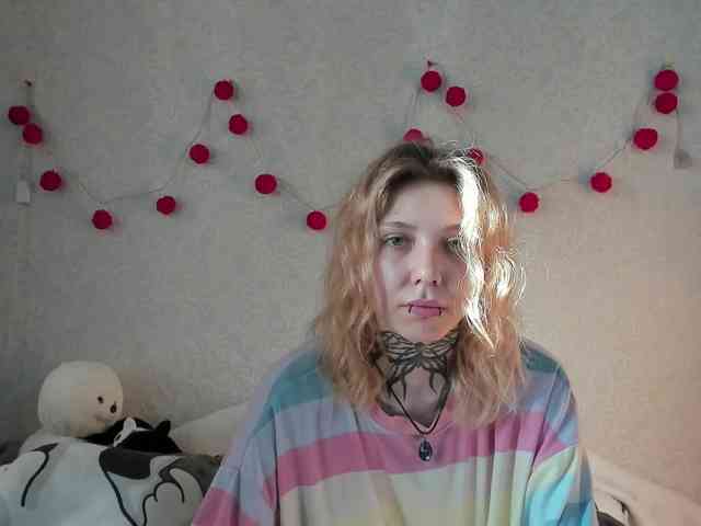 Nyan-Cat webcam