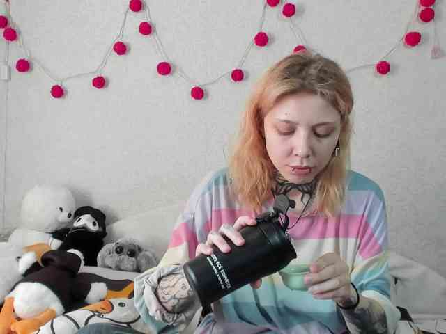 Nyan-Cat webcam