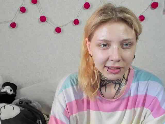 Nyan-Cat webcam